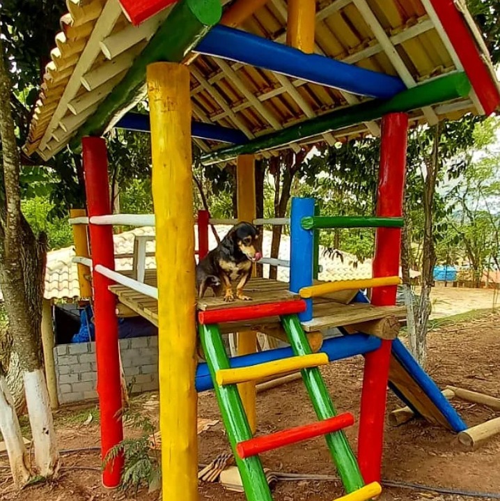 Playground colorido com cachorrinho